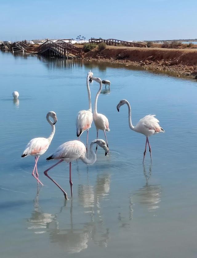La Casika De Lola Villa San Javier Dış mekan fotoğraf